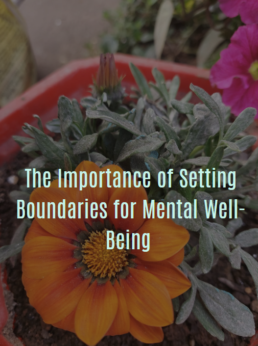 Mindset & Mental Resilience  LIFE COACH SERIES