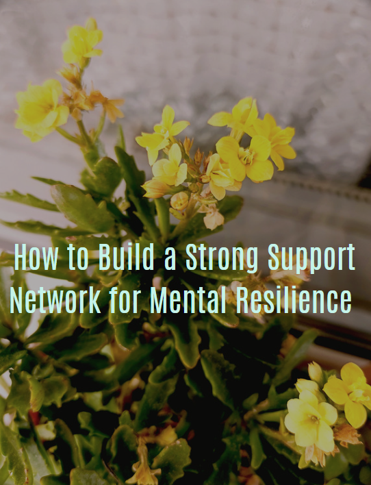Mindset & Mental Resilience  LIFE COACH SERIES