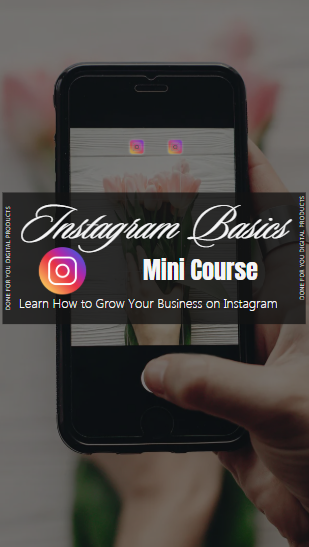 Instagram Basics Mini Course | Beginner’s Guide to Growing on Instagram
