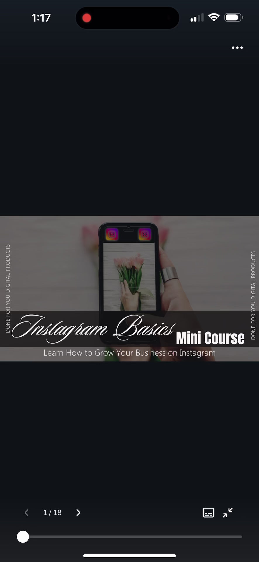 Instagram Basics Mini Course | Beginner’s Guide to Growing on Instagram