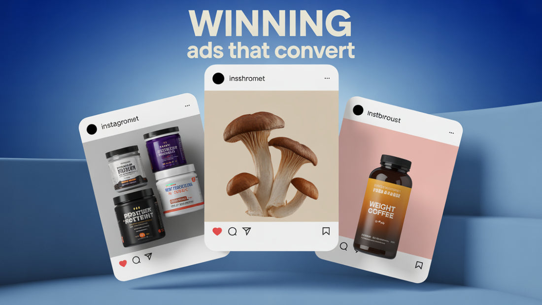 500+ Static Ad Canva Templates | Meta & Facebook Ads | Email Marketing Creatives & Shopify CRO Bundle